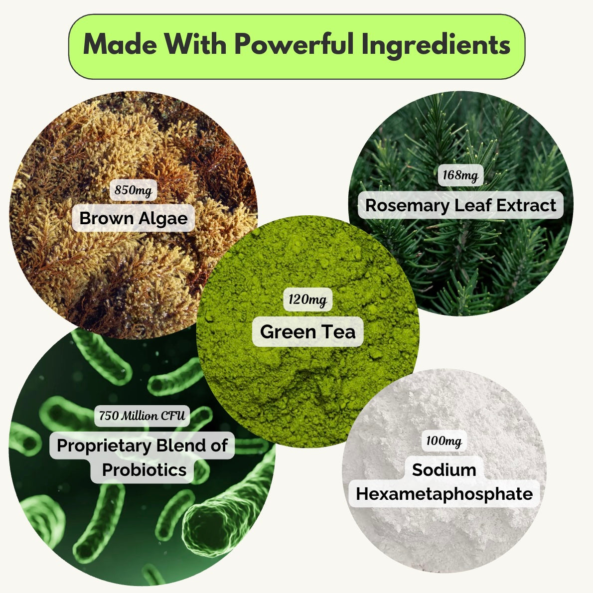 Advanced Dog Dental Powder