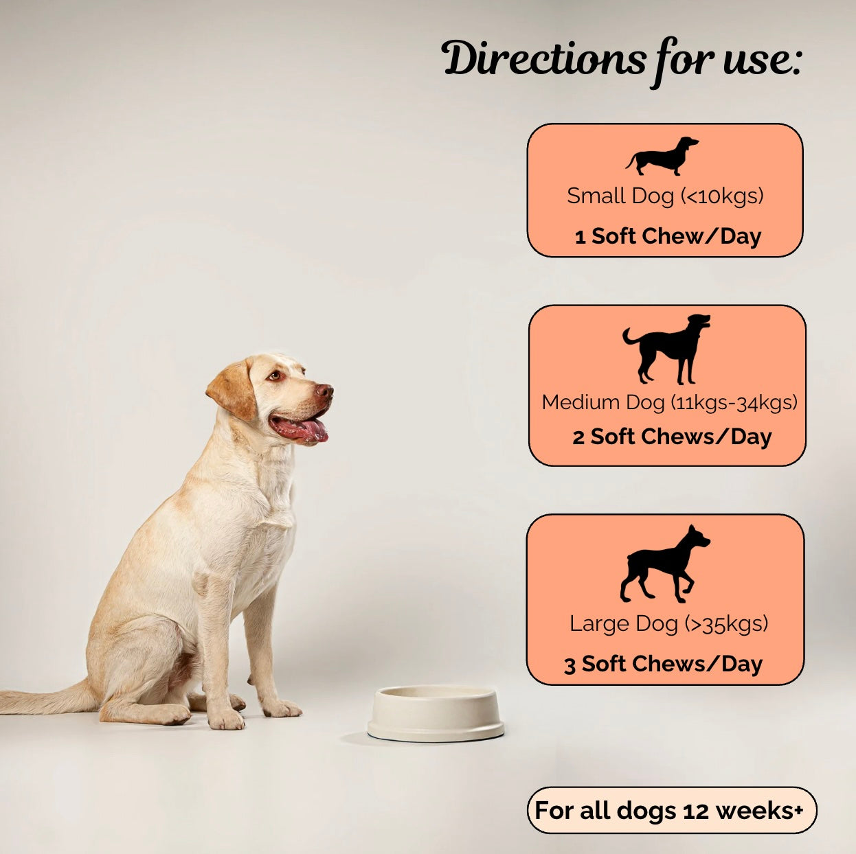 Allergy & Immune Chew