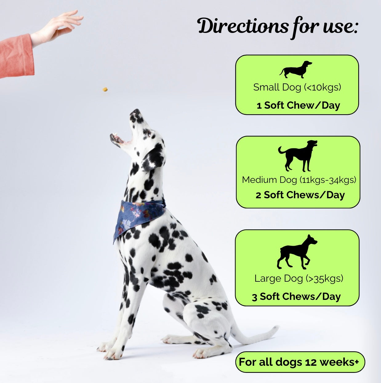 Advanced Hip & Joint Chew