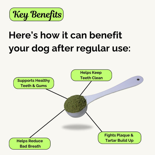 Advanced Dog Dental Powder