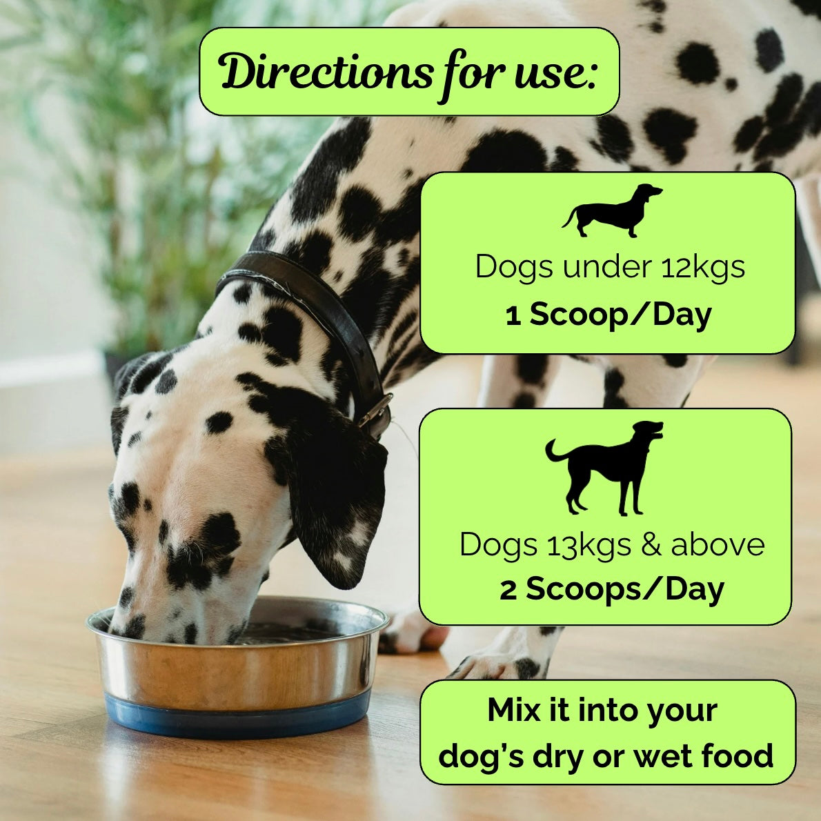 Advanced Dog Dental Powder