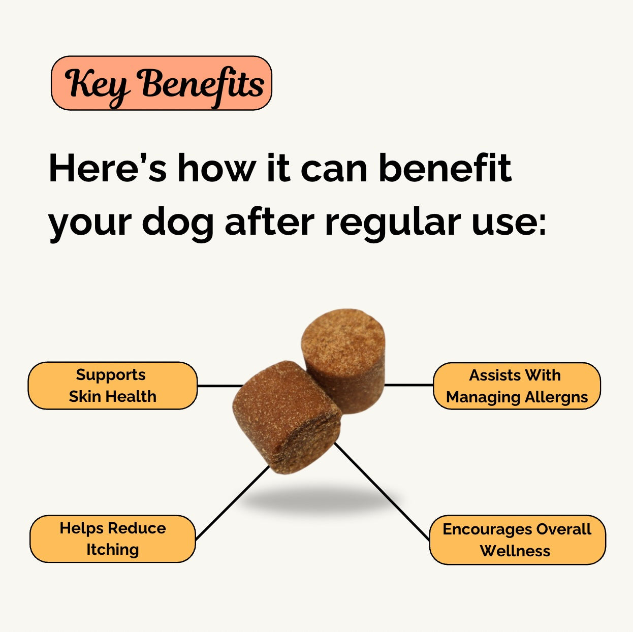 Allergy & Immune Chew