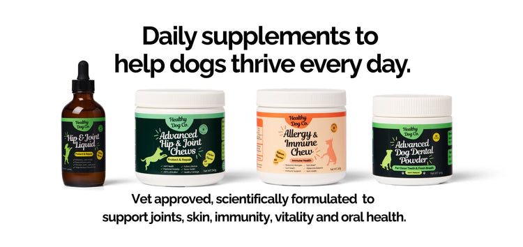 Healthy Dog Co